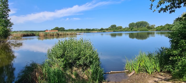 Blick auf den Reinheimer Teich